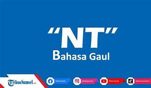 Bandar Adalah Bahasa Gaul